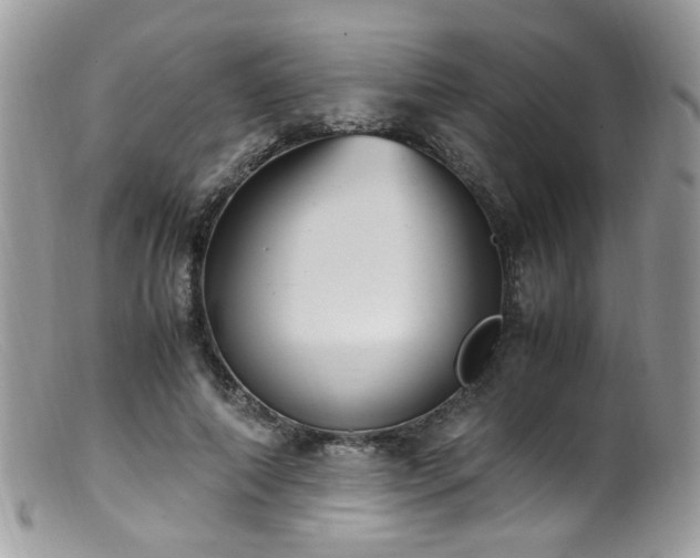 X0000099400690200805151706