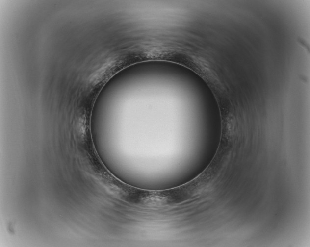 X0000099400691200805151706