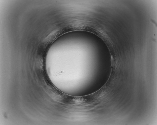 X0000099400693200805151705