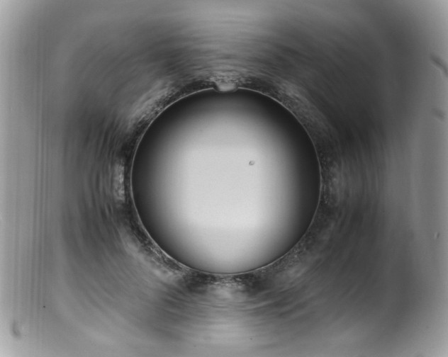 X0000099400696200805151705