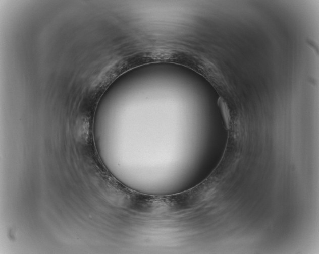 X0000099400697200805151705