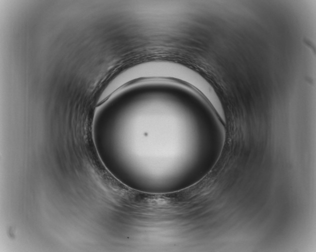 X0000099400698200805151705