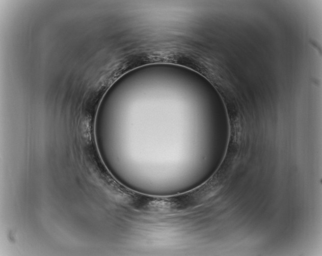 X0000099400699200805151705