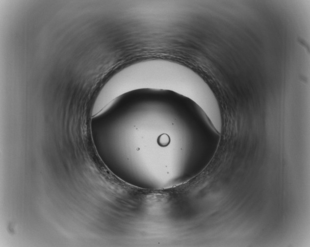 X0000099400700200805151705