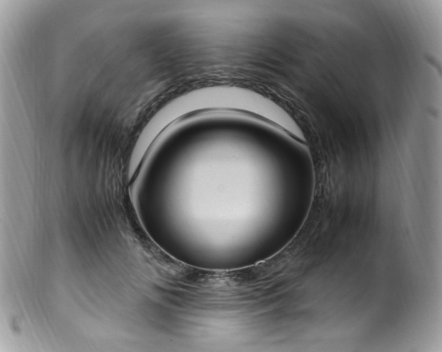 X0000099400702200805151705