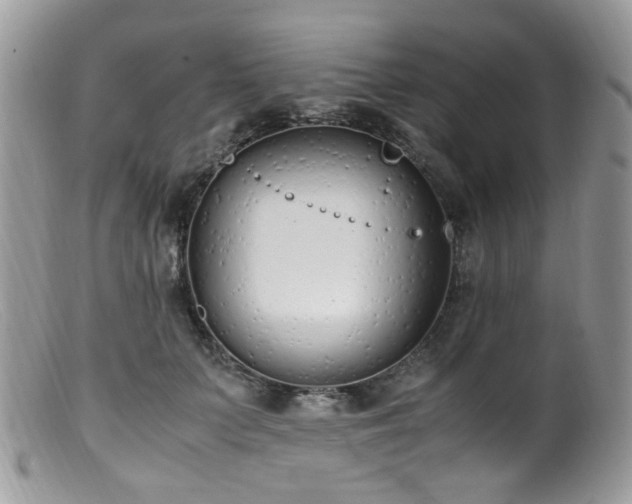 X0000099400703200805151705