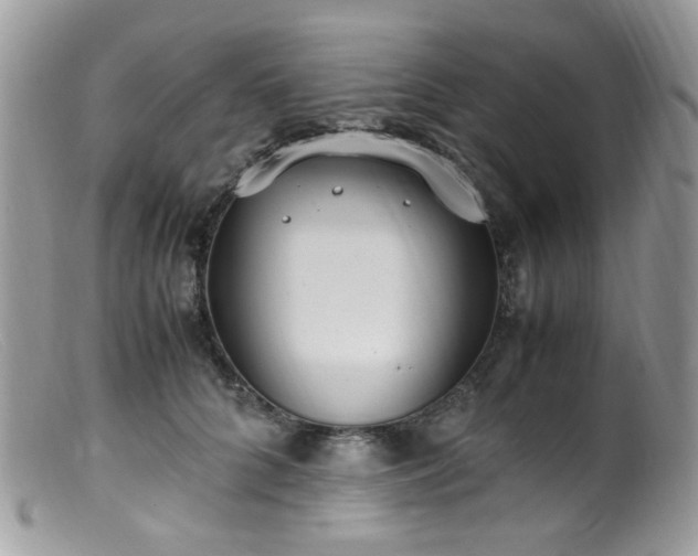 X0000099400704200805151705