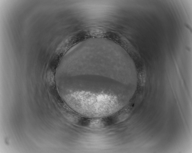 X0000099400705200805151705