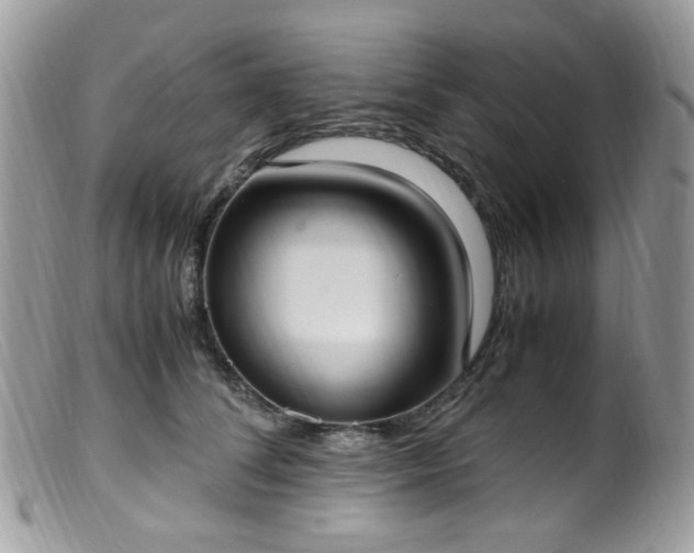 X0000099400708200805151705