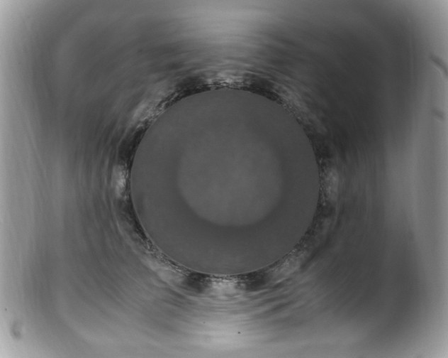 X0000099400709200805151705