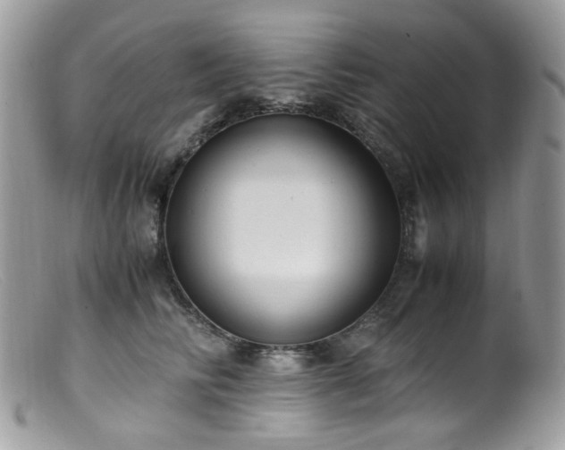 X0000099400710200805151705