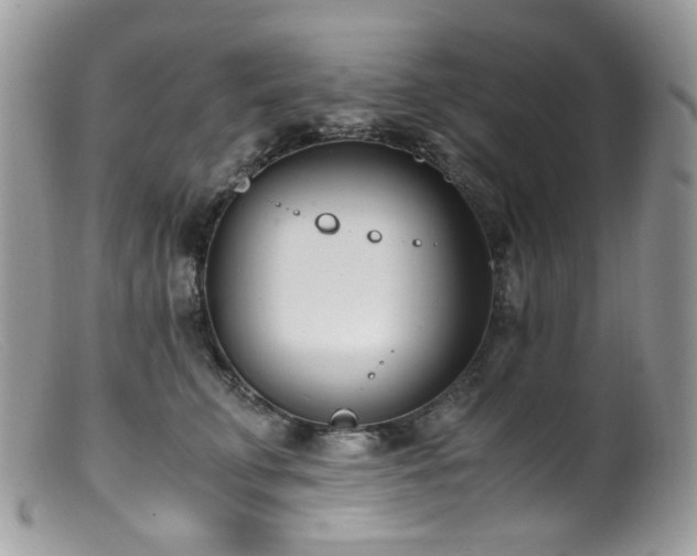 X0000099400711200805151705