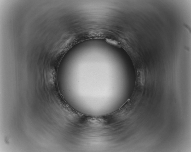 X0000099400712200805151705