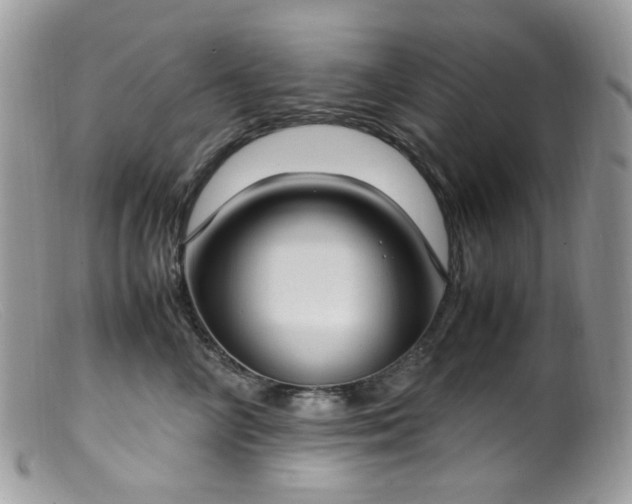 X0000099400714200805151705