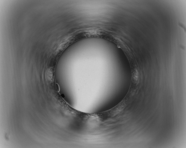 X0000099400715200805151705