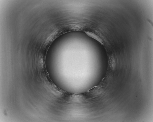 X0000099400716200805151705