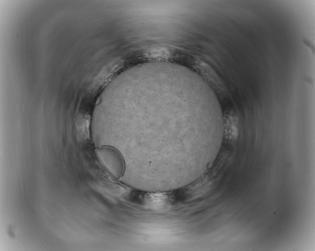 X0000099400717200805151705