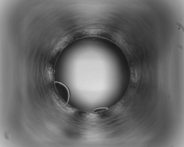 X0000099400718200805151705