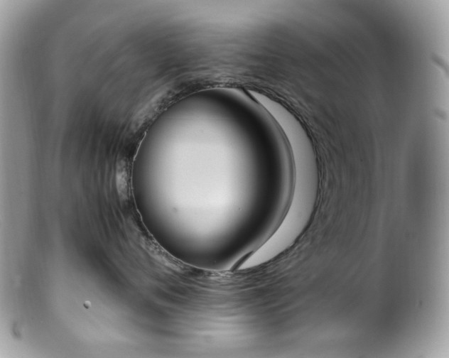 X0000099400720200805151705