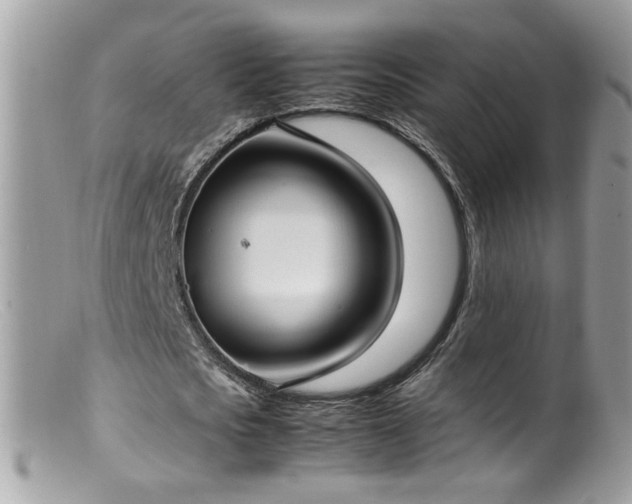 X0000099400721200805151704