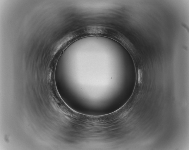 X0000099400723200805151704