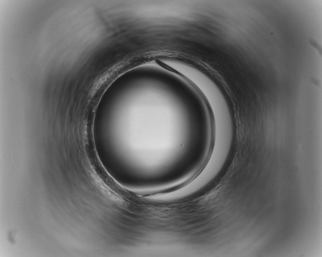 X0000099400725200805151704