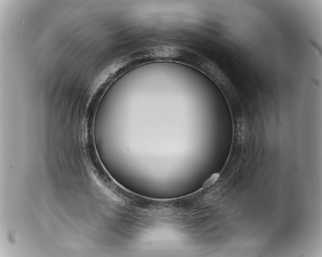 X0000099400726200805151704