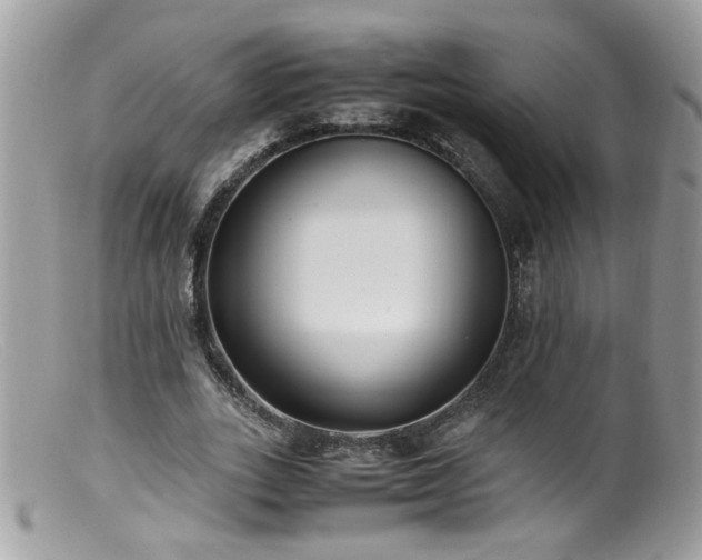 X0000099400727200805151704