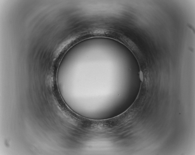 X0000099400728200805151704