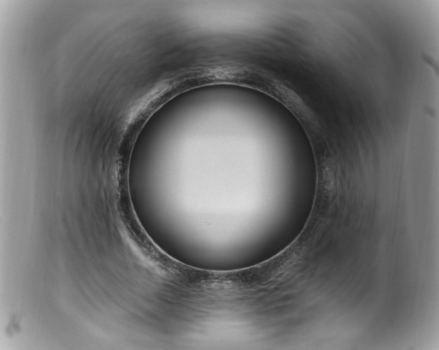 X0000099400730200805151705