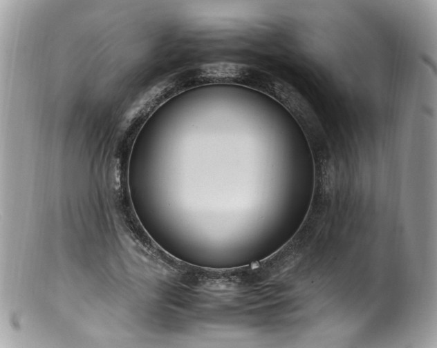 X0000099400731200805151705