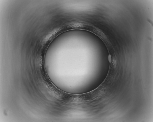 X0000099400732200805151705