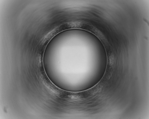 X0000099400733200805151705