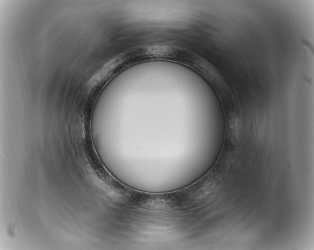 X0000099400734200805151705