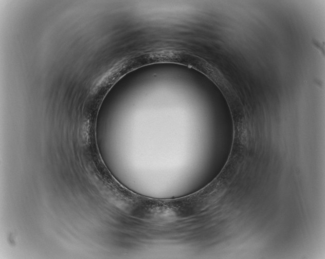 X0000099400735200805151705