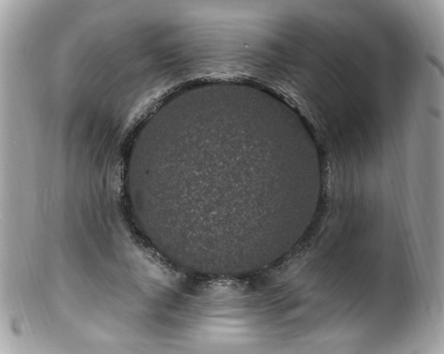 X0000099400736200805151705