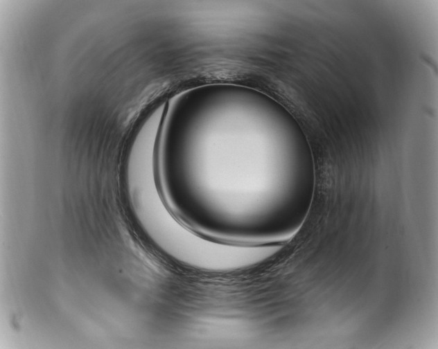 X0000099400738200805151705