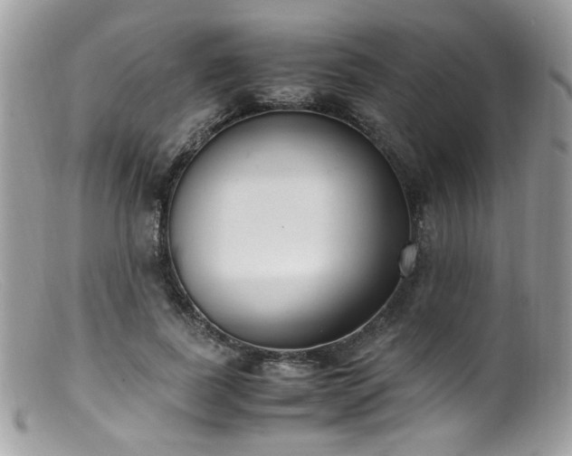 X0000099400739200805151705