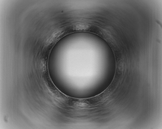 X0000099400743200805151705