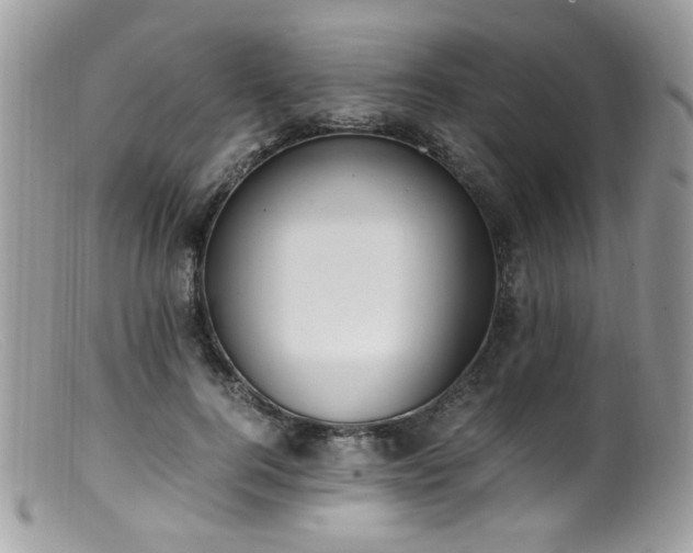 X0000099400744200805151705