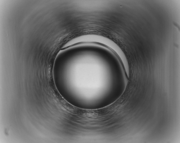 X0000099400745200805151705