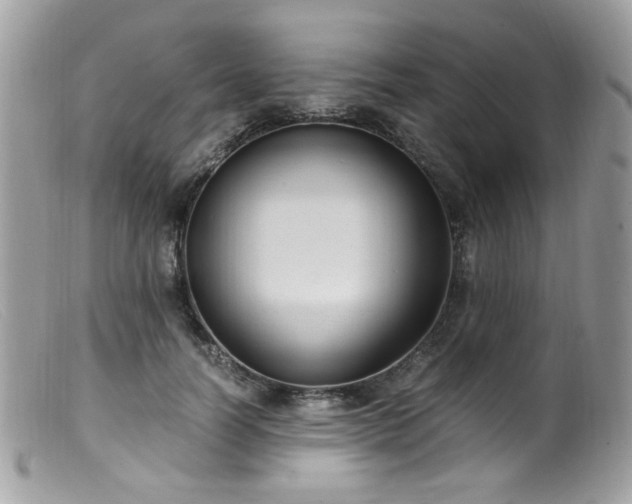 X0000099400746200805151705