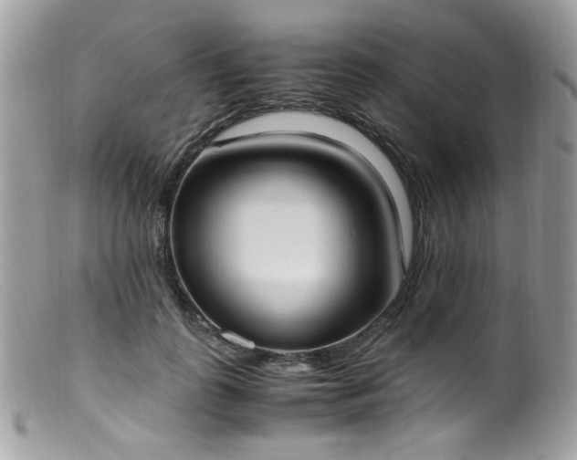 X0000099400747200805151705