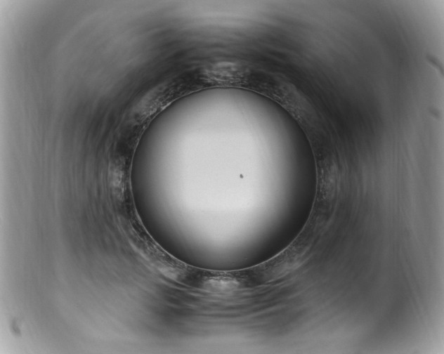 X0000099400749200805151705