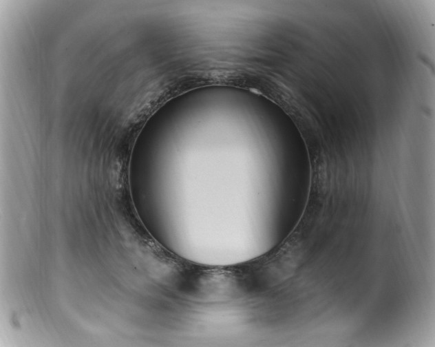 X0000099400750200805151705