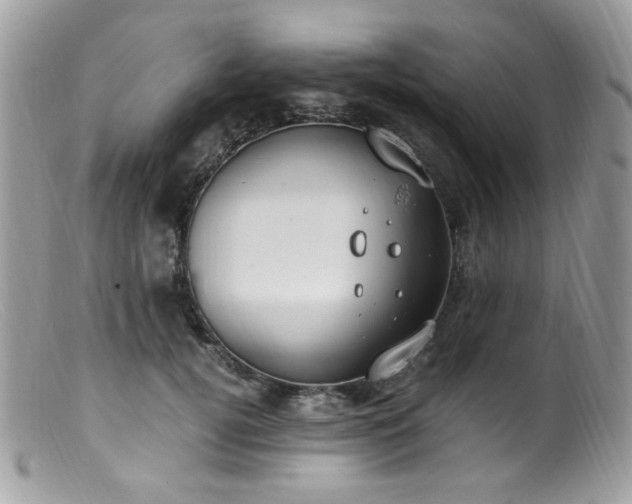 X0000099400752200805151705