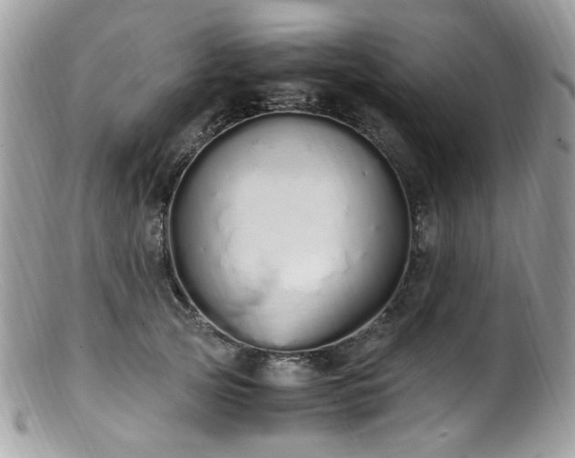 X0000099400753200805151705