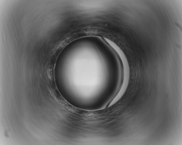 X0000099400755200805151705