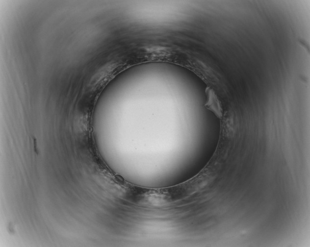 X0000099400756200805151705