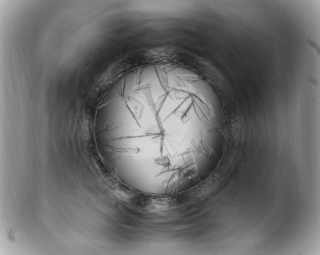 X0000099400757200805151705
